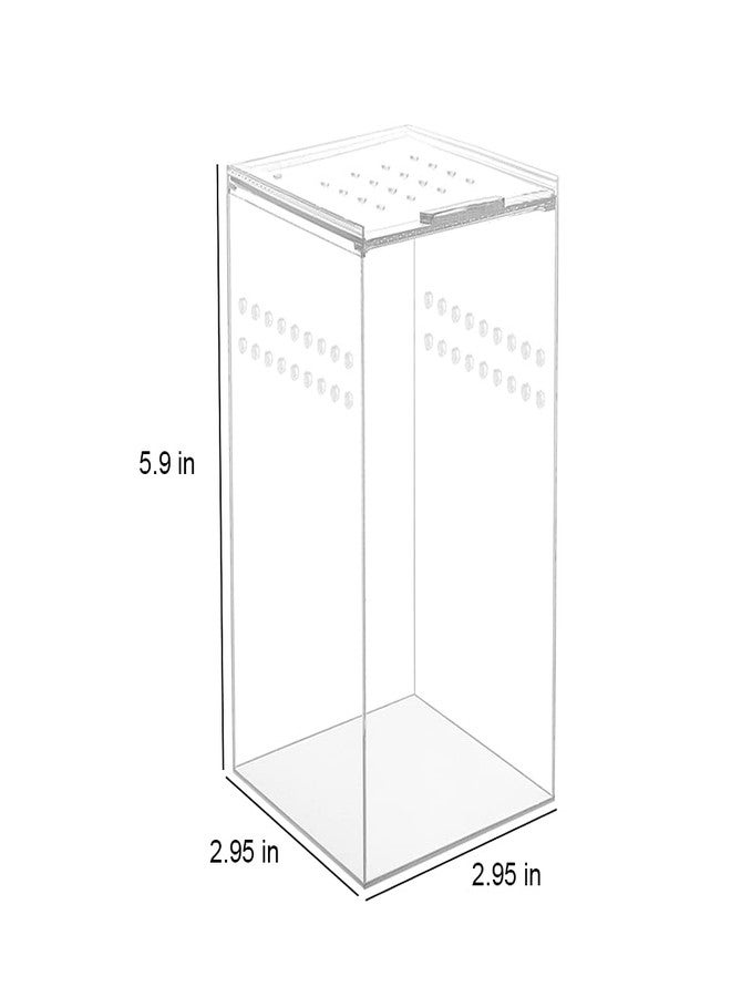 NANEEZOO Magnetic Acrylic Case, 2.9x2.9x6 Inch Nano Arboreal Tarantula Enclosure Reptile Habitat Terrarium Breeding Box for Spider Scorpion Sling Isopods Lizards Invertebrates Insect Mantis - Image 4